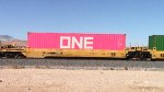 WB Intermodal Frt at Erie NV -6